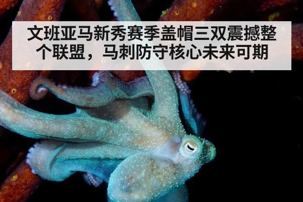 文班亚马新秀赛季盖帽三双震撼整个联盟，马刺防守核心未来可期