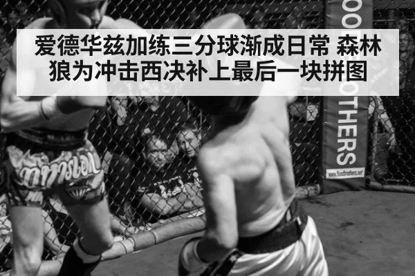 爱德华兹加练三分球渐成日常 森林狼为冲击西决补上最后一块拼图